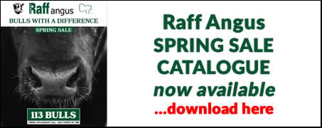 Raff Angus Spring Sale Catalogue 2022