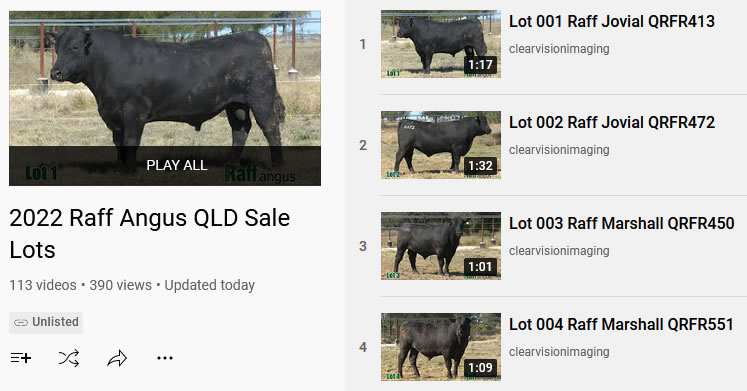 Raff Angus Bull Sale videos 2022 